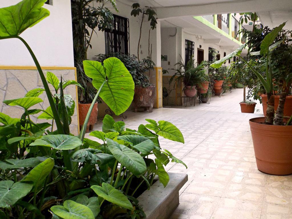 Hotel Posada Las Casas San Cristóbal de Las Casas Extérieur photo